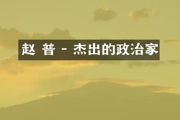 赵 普 - 杰出的政治家