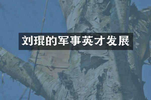 刘琨的军事英才发展