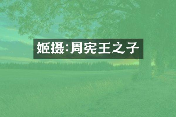 姬摄:周宪王之子