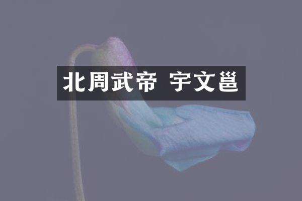 北周武帝 宇文邕