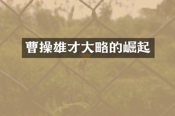 曹操雄才大略的崛起