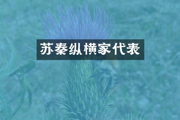 苏秦纵横家代表