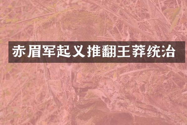 赤眉军起义推翻王莽统治