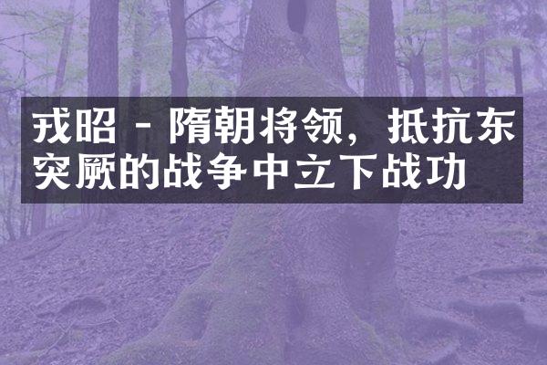 戎昭 - 隋朝将领，抵抗东突厥的战争中立下战功