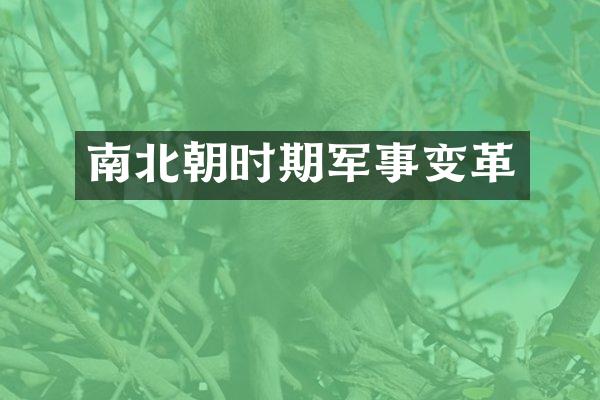 南北朝时期军事变革