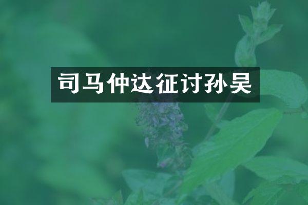 司马仲达征讨孙吴