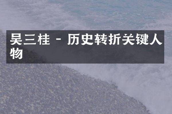 吴三桂 - 历史转折关键人物