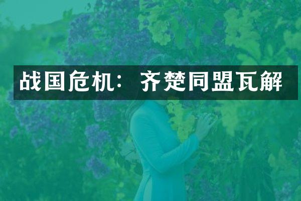 战国危机：齐楚同盟瓦解