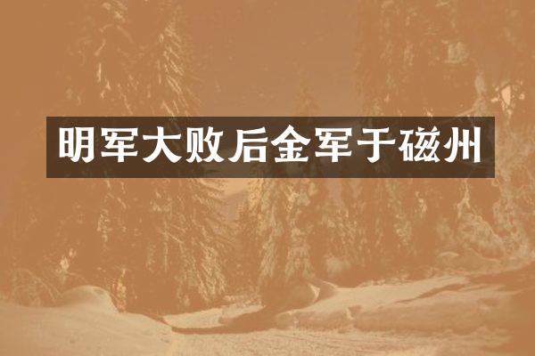 明军大败后金军于磁州