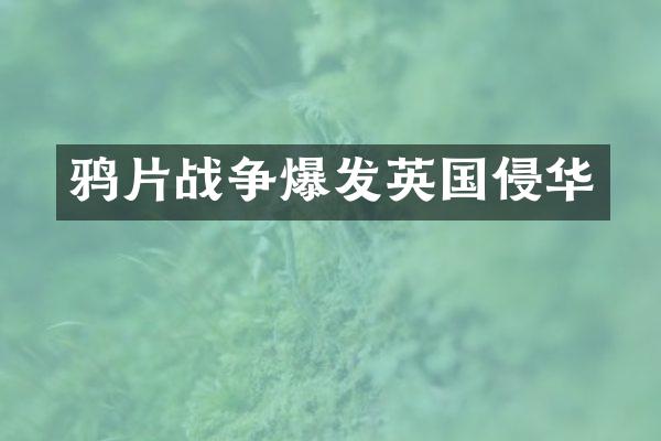 战争爆发英国侵华