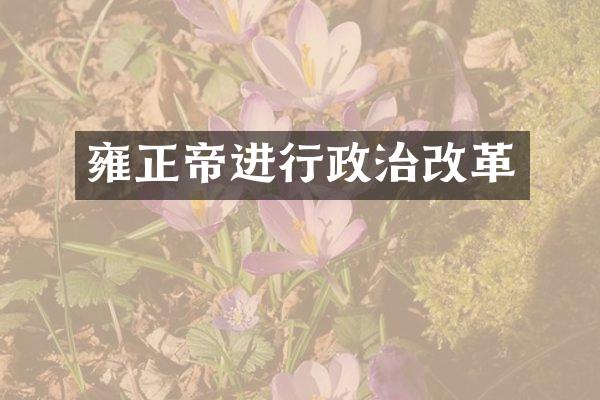雍正帝进行政治改革