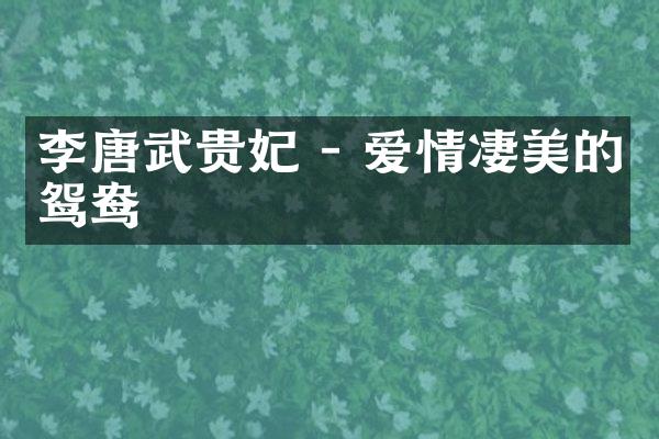 李唐武贵妃 - 爱情凄美的鸳鸯