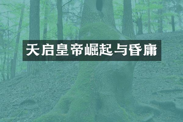 天启皇帝崛起与昏庸