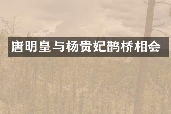 唐明皇与杨贵妃鹊桥相会