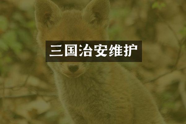 三国治安维护