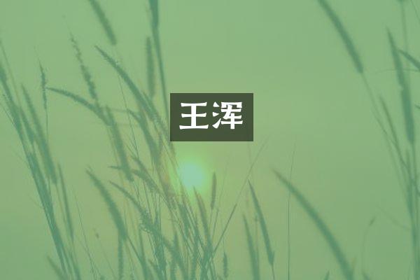 王浑