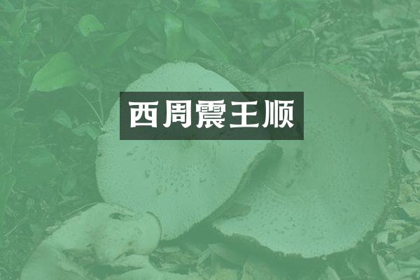 西周震王顺
