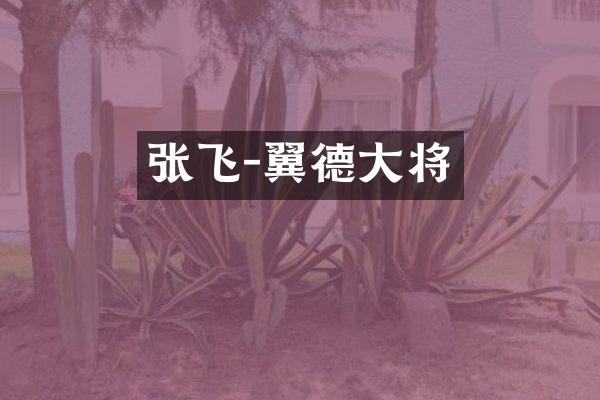 张飞-翼德大将