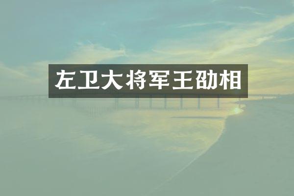 左卫大将军王劭相