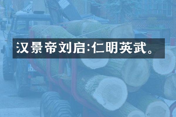 汉景帝刘启:仁明英武。