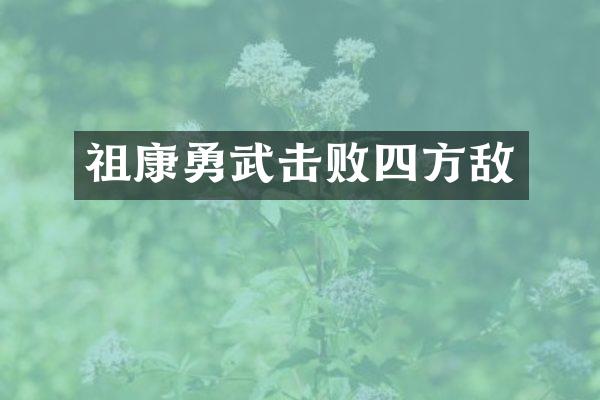 祖康勇武击败四方敌