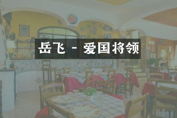 岳飞 - 爱国将领