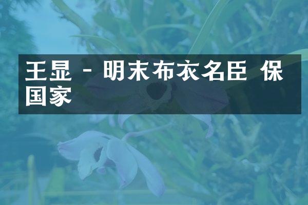王显 - 明末布衣名臣 保卫国家