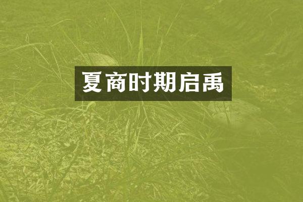 夏商时期启禹