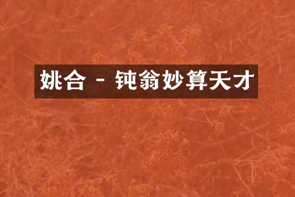 姚合 - 钝翁妙算天才