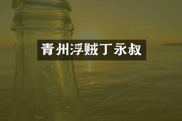 青州浮贼丁永叔