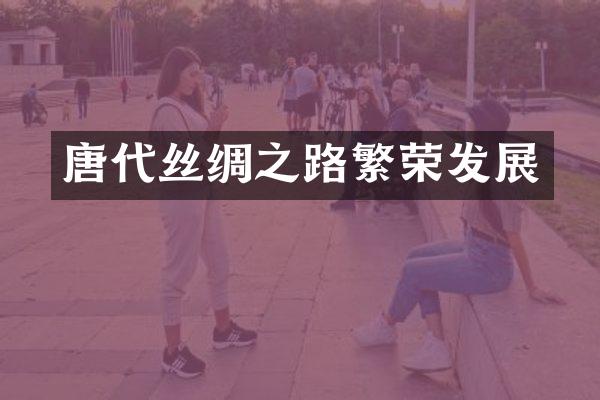 唐代丝绸之路繁荣发展
