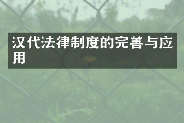 汉代法律制度的完善与应用