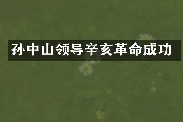 孙中山领导辛亥革命成功