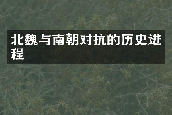 北魏与南朝对抗的历史进程