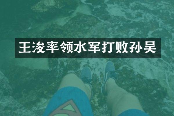 王浚率领打败孙吴