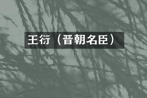 王衍（晋朝名臣）