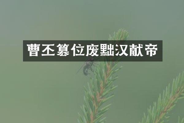 曹丕篡位废黜汉献帝
