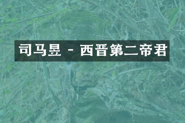 司马昱 - 西晋第二帝君