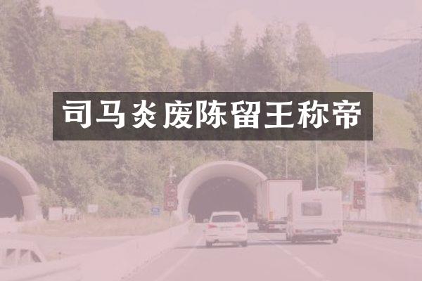 司马炎废陈留王称帝