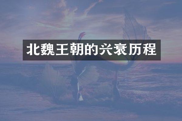 北魏王朝的兴衰历程