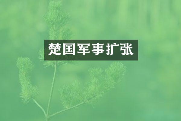 楚国军事扩张