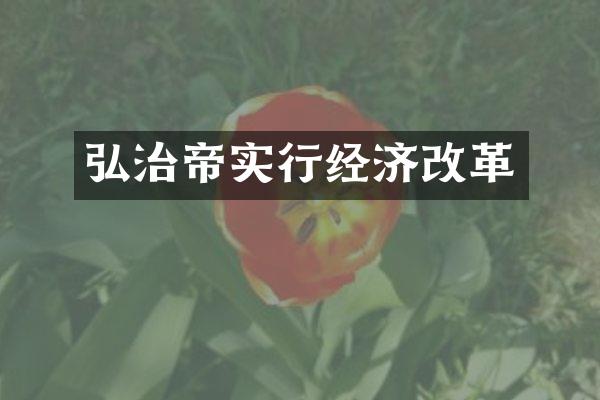 弘治帝实行经济改革