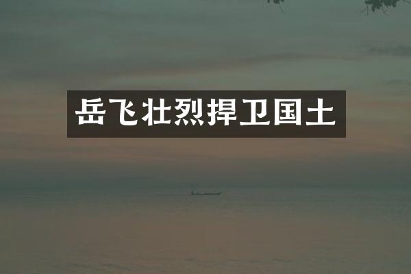 岳飞壮烈捍卫国土