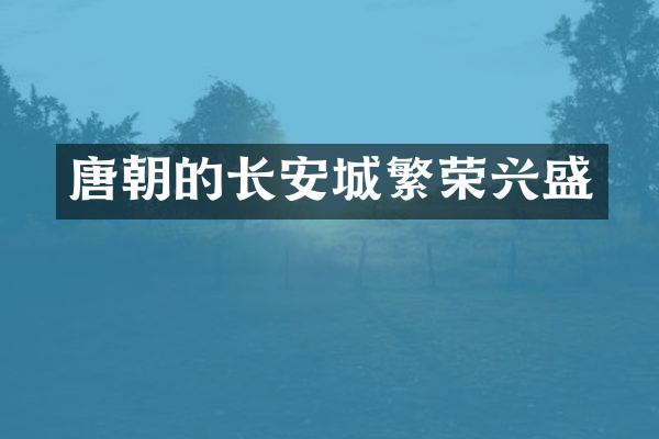 唐朝的长安城繁荣兴盛