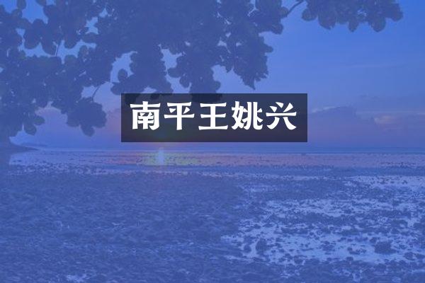 南平王姚兴