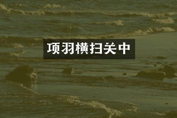 项羽横扫关中