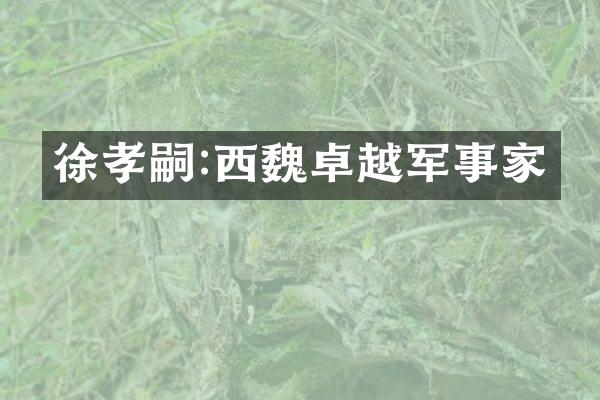 徐孝嗣:西魏卓越军事家