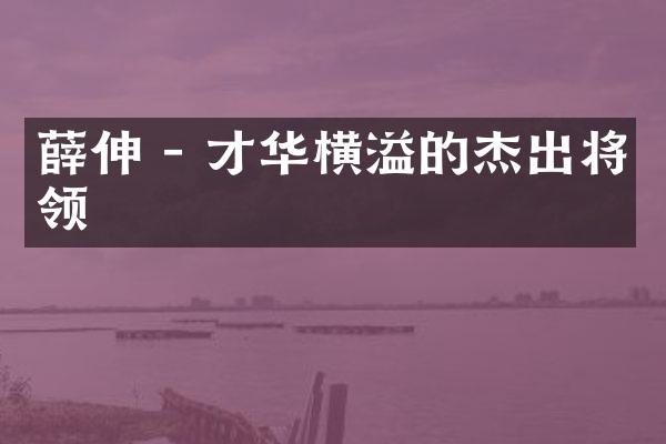 薛伸 - 才华横溢的杰出将领