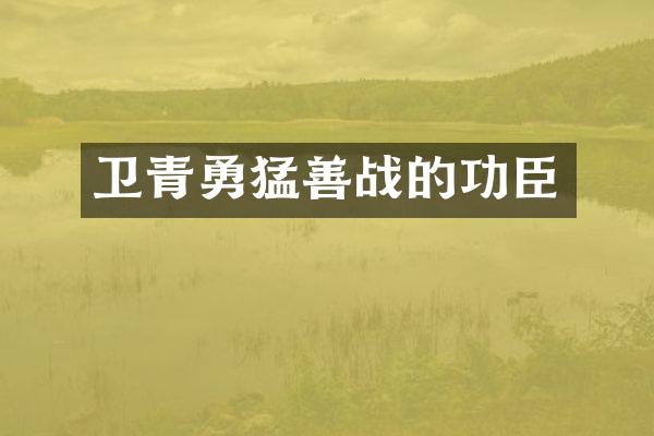 卫青勇猛善战的功臣