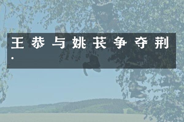 王 恭 与 姚 苌 争 夺 荆 州